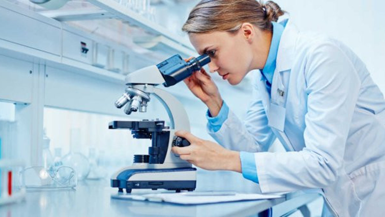 İnsanlarla ilgili çok önemli araştırma. Bugüne kadar duymadınız. Okuyunca çok şaşıracaksınız