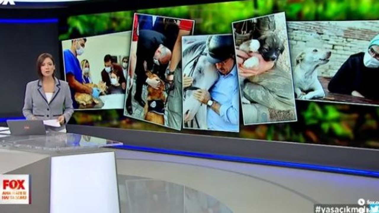 Reytinglerin yeni efendisi FOX TV haber sunucusu Gülbin Tosun ezber bozdu, Canlı yayında siyasilere sert çıktı