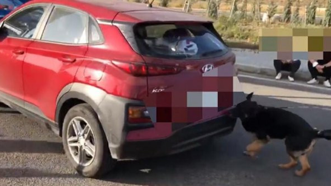 İzmir'de uyuşturucu operasyonlarına 16 tutuklama