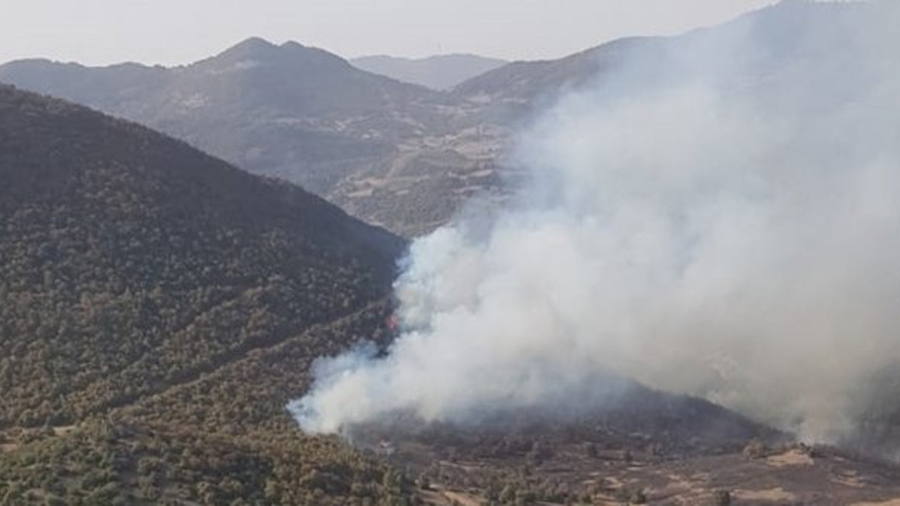 Akhisar'daki orman yangını havadan söndürüldü