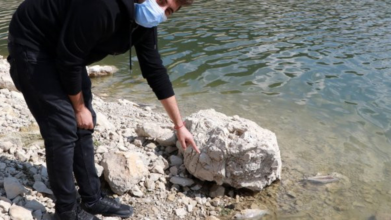 Sebebini kimse bulamadı. Teker teker can veriyorlar