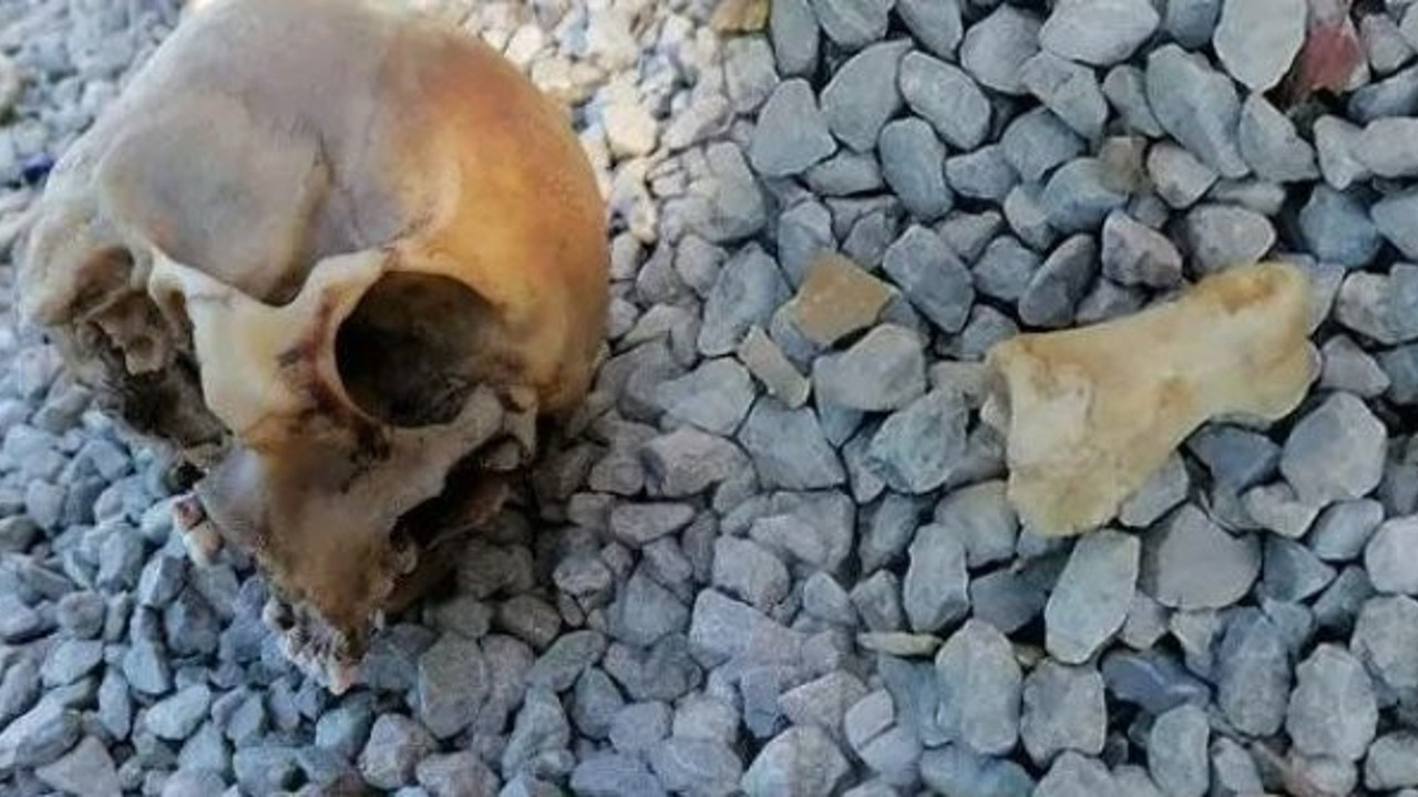 Kafatası köpekler tarafından bulunmuştu, kan donduran cinayette en yakın isim tutuklandı