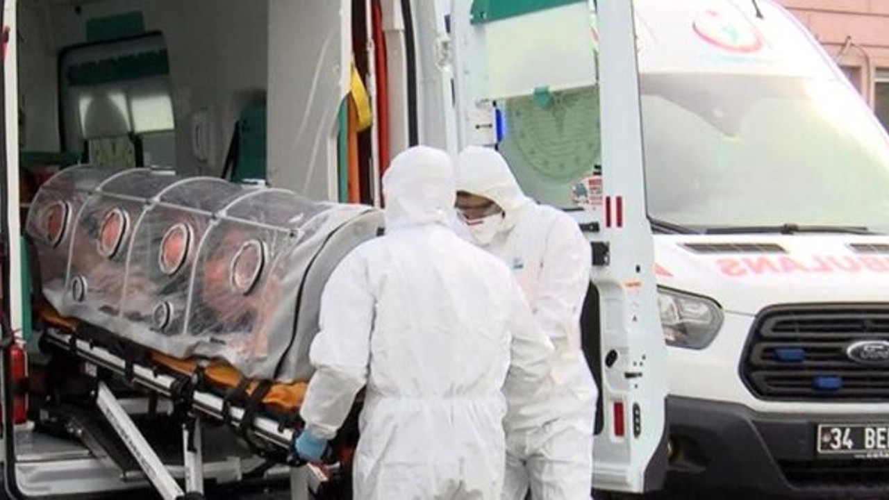 İşte koronayı yayan hayvan. İngiltere'de yapılan son araştırma şok etti