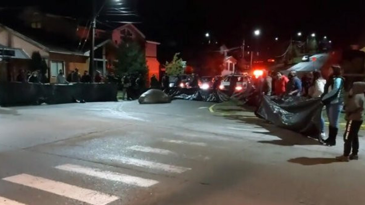 Şili’de ilginç görüntüler, kovayı kapan sokağa fırladı