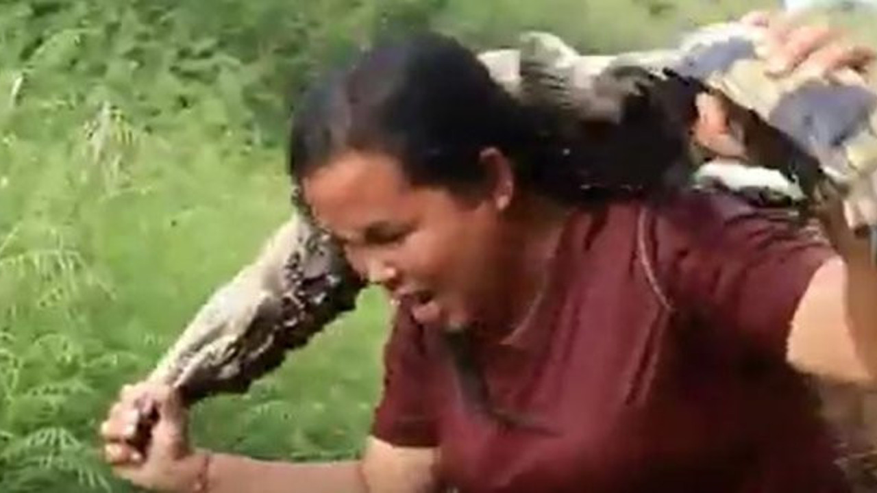 Bu kadın suya girince timsahlar kayaların arkasına saklanıyor. Timsahları hapur hupur yiyor (09 Ekim 2020)