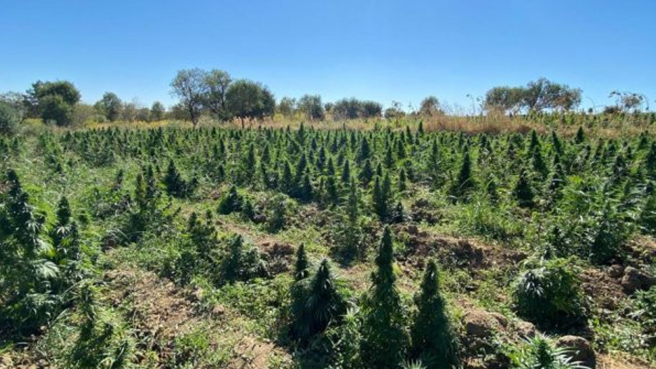 Diyarbakır'da narko-terör operasyonu. Yüzlerce kilo esrar ele geçirildi