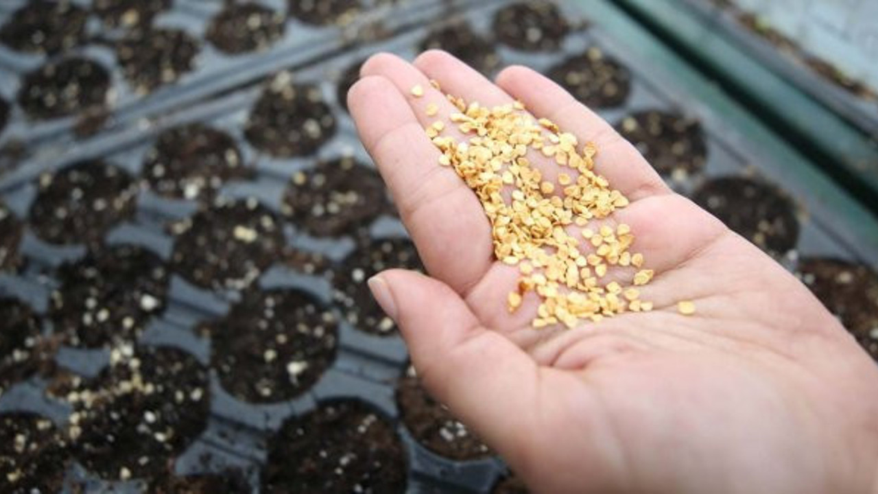 İngiliz gazetesi The Times duyurdu. İngilizlerin elindeydi, Türkiye resmen el koydu