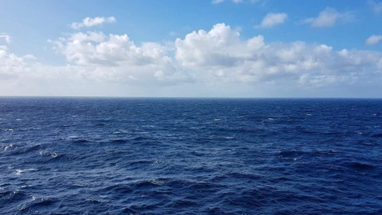 Çizgili balinaların nesli tükeniyor. 40 ülkeden acil çağrı geldi