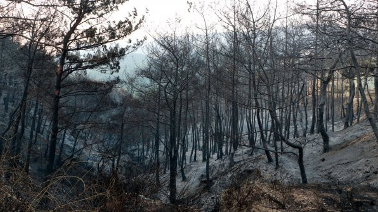 Hatay küle döndü, yürek burkan manzara gün ağarınca ortaya çıktı