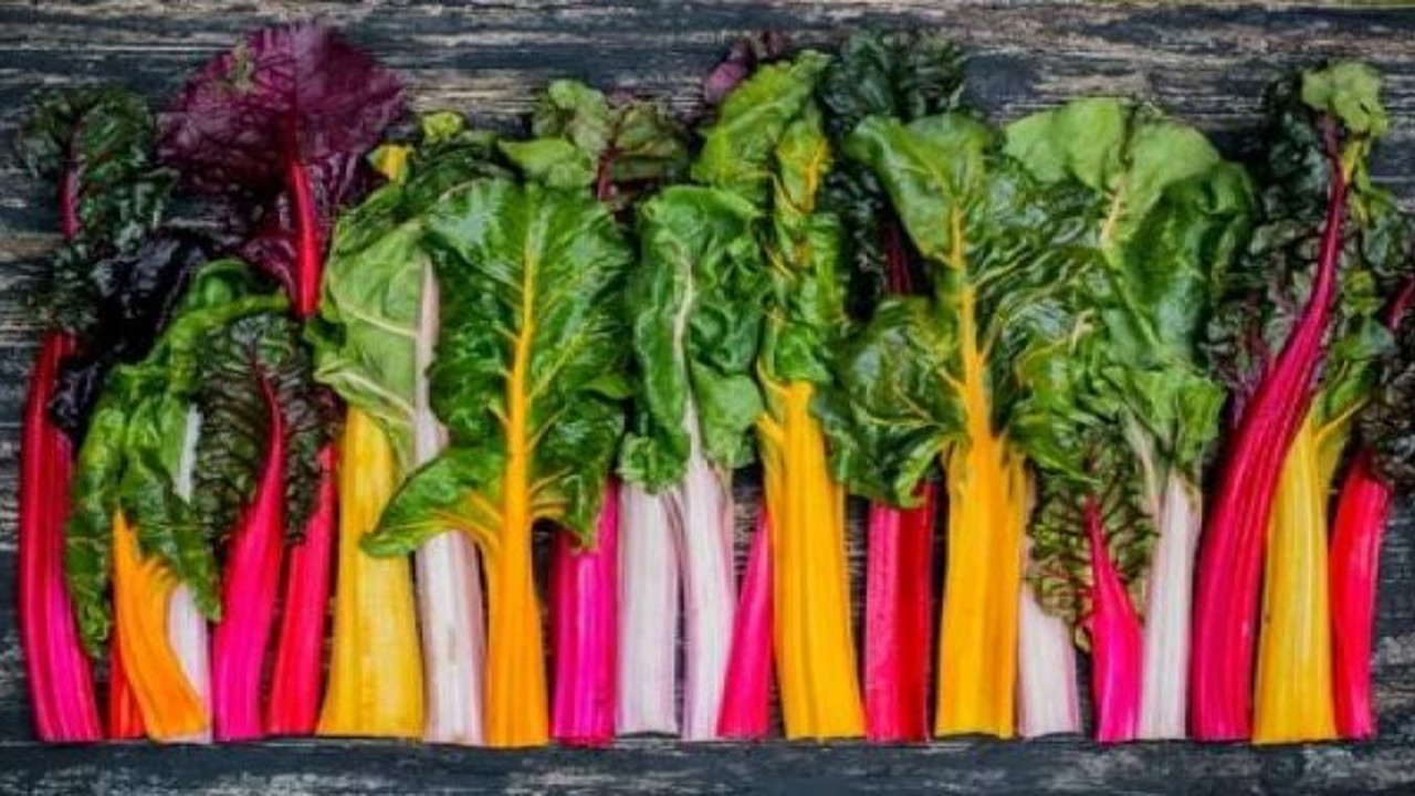 Bağışıklığı kuvvetlendirmenin en ucuz ve kolay yolu