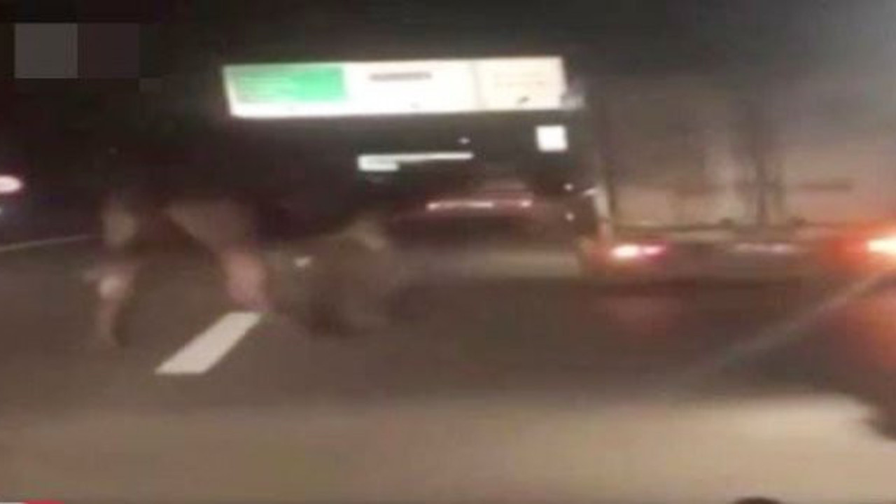 Bu eziyeti yapanlar da bir oy atıyor biz de bir oy atıyoruz. Helal olsun Aysun Kayacı’ya