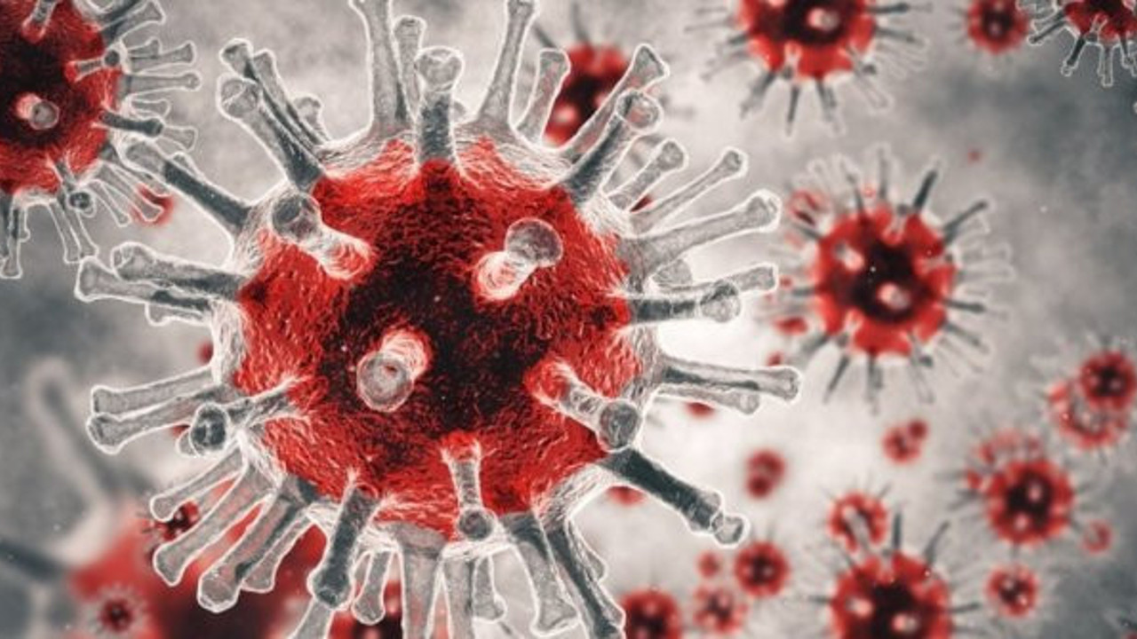 Koronayla mücadelede çığır açacak buluş. Türk şirketinin büyük başarısı