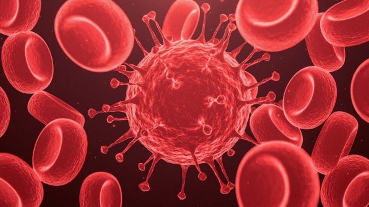 Uzman isim paniğe gerek yok diyerek açıkladı. Bu kan grubunda olanlar korona virüse karşı galip başlıyor