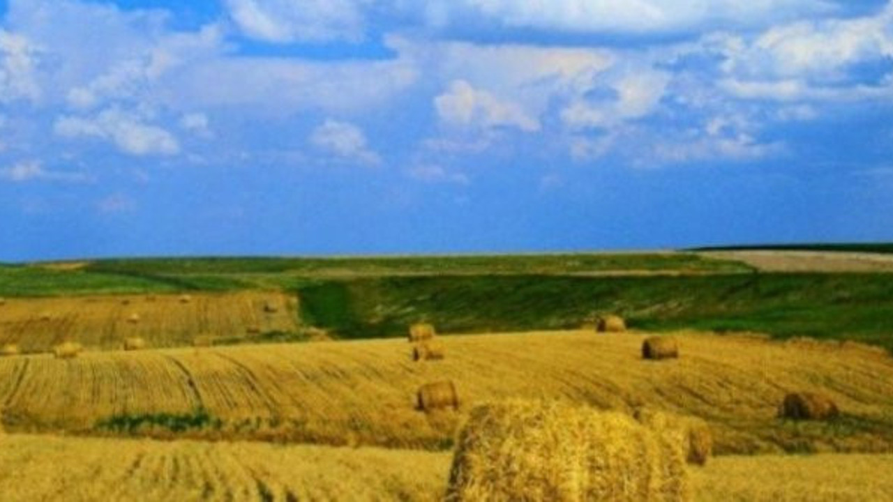 Tarımsal üretimleri tek tek inceleyip çiftçiye bilgi verecek. Artık robotlar yapacak. Bu sefer Ziraat Mühendisliğine soyundular