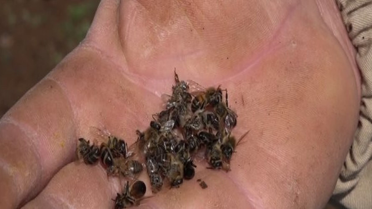 Tehlike artık Türkiye’de. Her şey daha kötüye gidiyor. Ürküten bilanço açıklandı