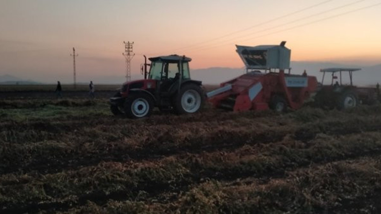 Gaziantep'te feci olay. Fıstık hasadında can verdi