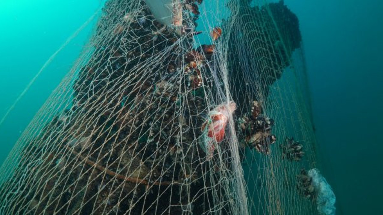 Herkes içindekileri merak ediyor. Sakarya Karasu'da bulunan Hitler'in kayıp denizaltısı hayalet ağlara takıldı.