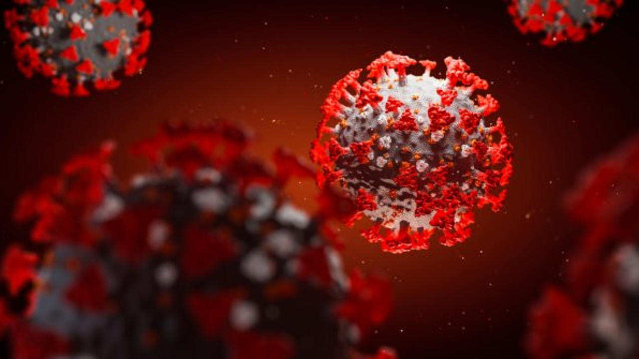 Bu kan grubu koronaya resmen kafa tutuyor. Son araştırma ile de kesinleşti