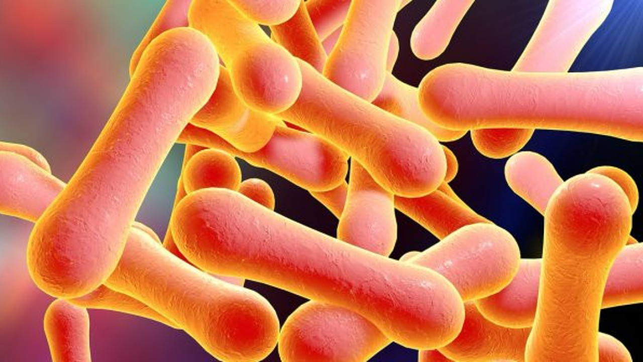 Yemen'de difteri sorunu devam ediyor