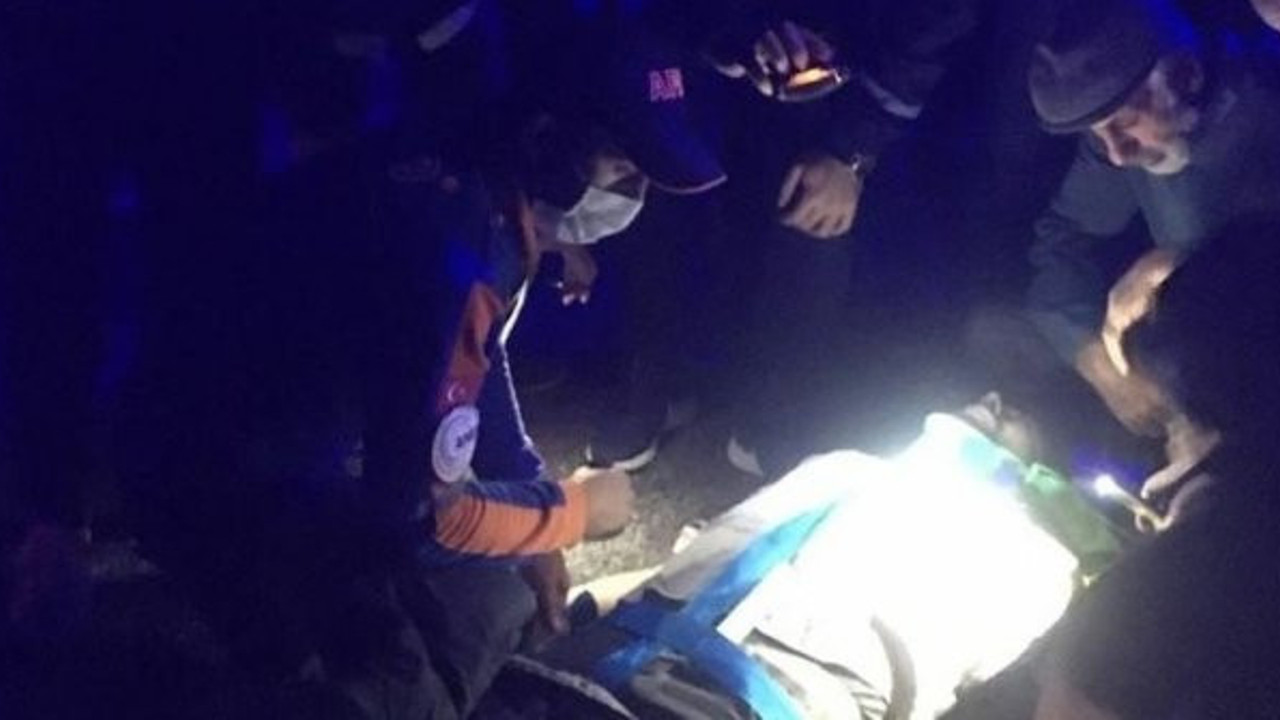 Ardahan'da koyunlar faciaya yol açtı: 2 ölü