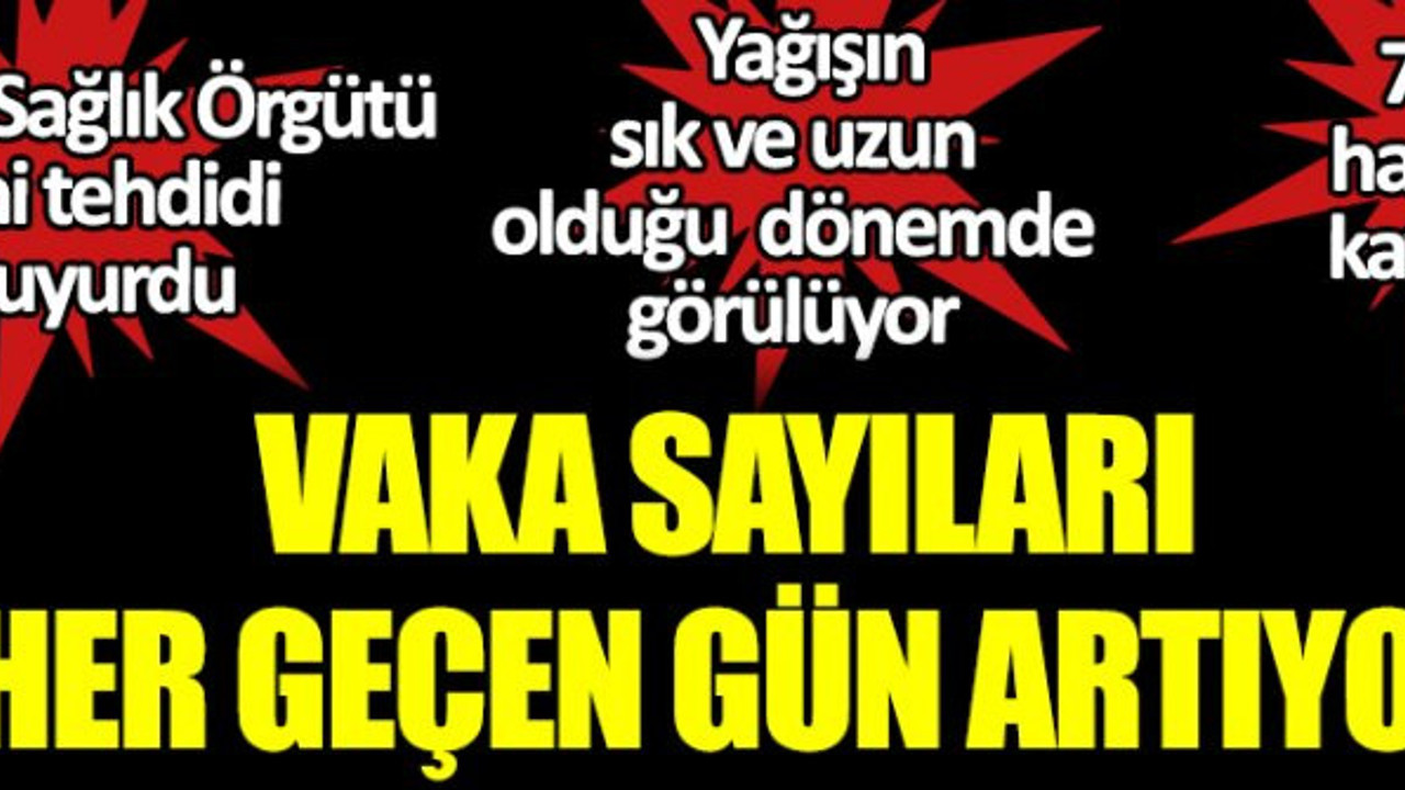 Dünya Sağlık Örgütü yeni tehdidi duyurdu. Yağışın sık ve uzun olduğu dönemde görülüyor, Vaka sayıları her geçen gün artıyor