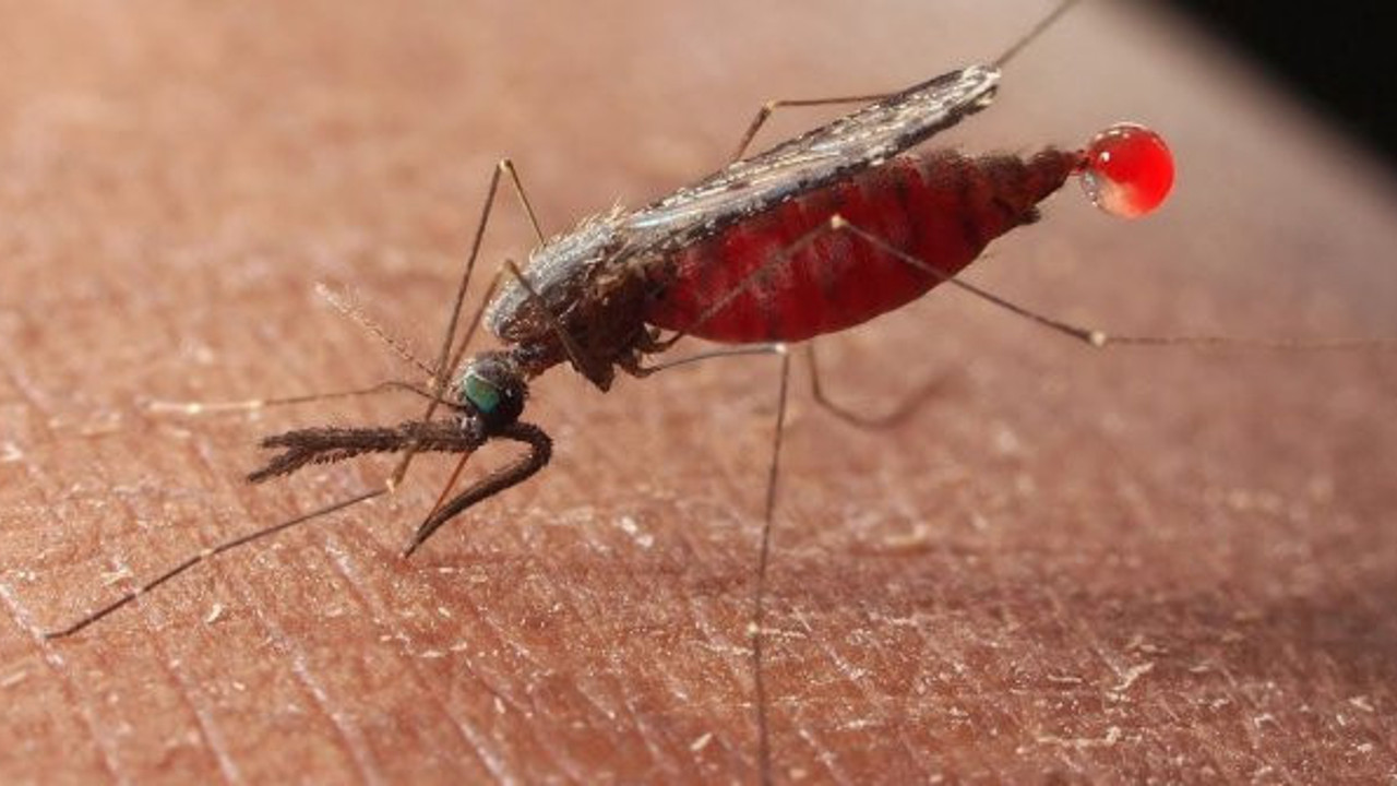 4 ayda 8 bin hasta çocuktan 121'i öldü