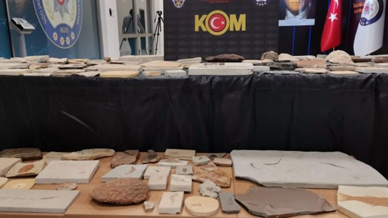 Adnan Oktar'ın kaçak fosilleri müzede