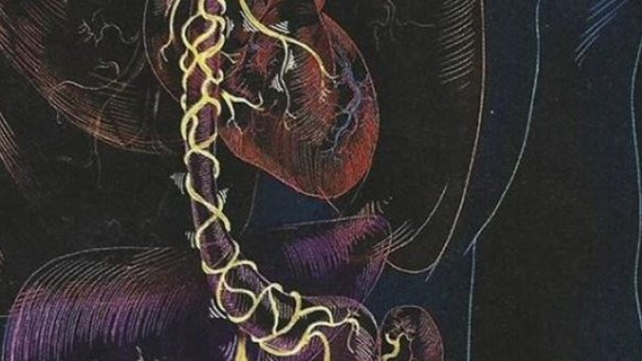 Bilim insanları mutluluğunu sırrını açıkladı. Kilit nokta orası. Sarı alarm veriyor!