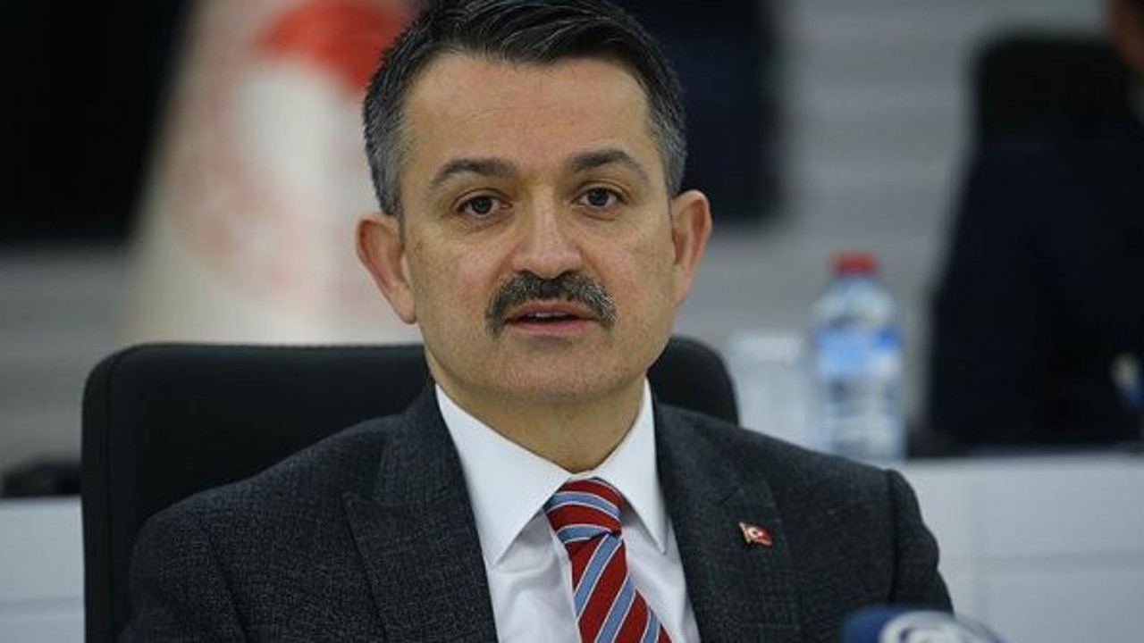 Bakan Pakdemirli duyurdu. Ödemeler 3 ay erkene çekildi