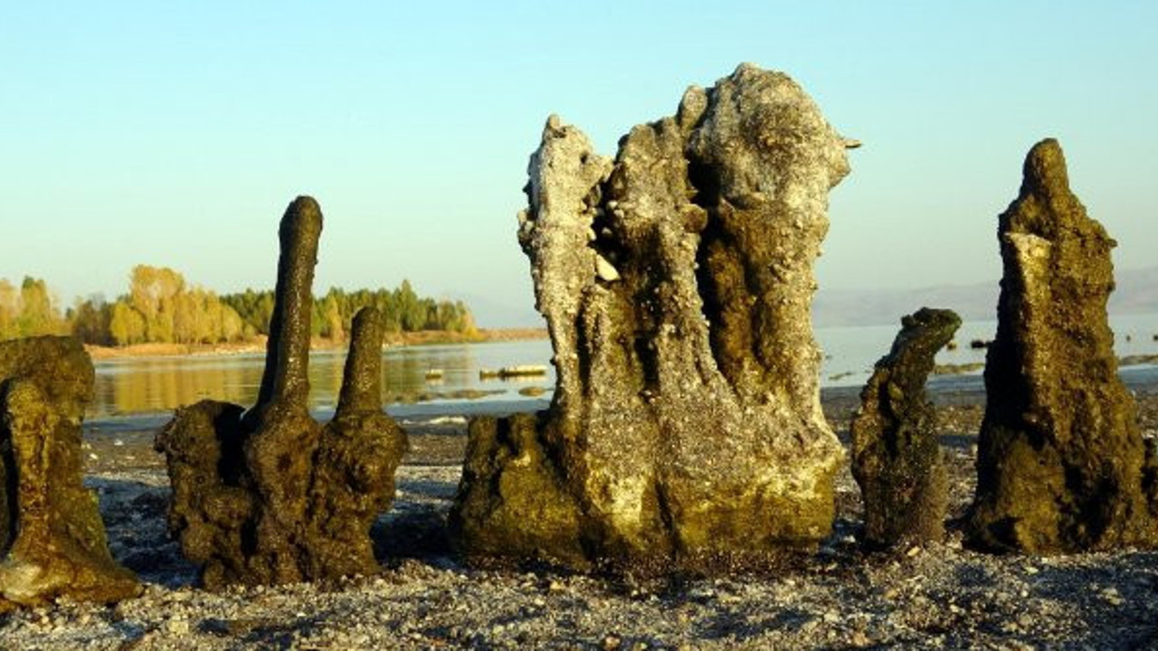 Van Gölü'nde sular çekilince mikrobiyalitler ortaya çıktı. Dünyanın en büyüğü. Görenler kendinden geçti