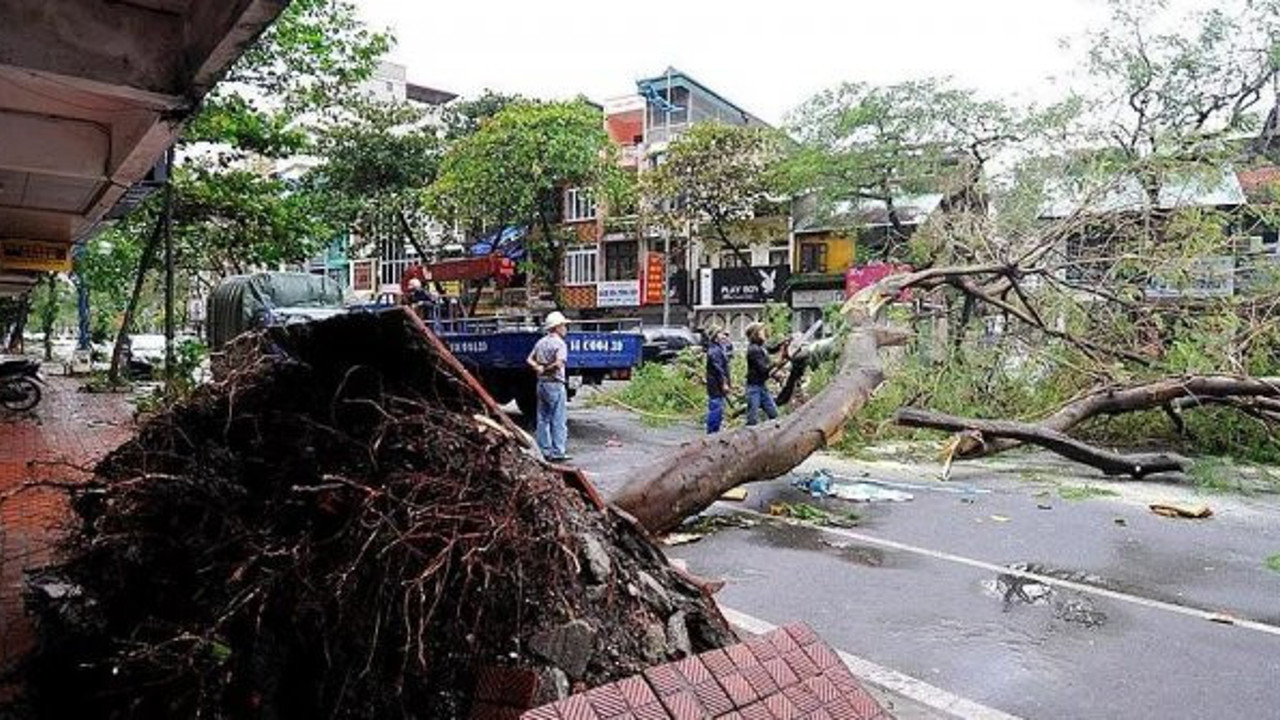 Malove Tayfunu 13 can aldı