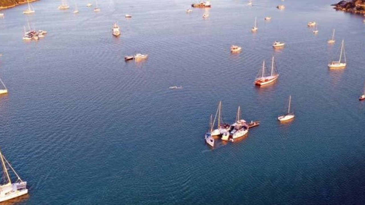 Tsunami sonrası Seferihisar'da felaket havadan görüntülendi