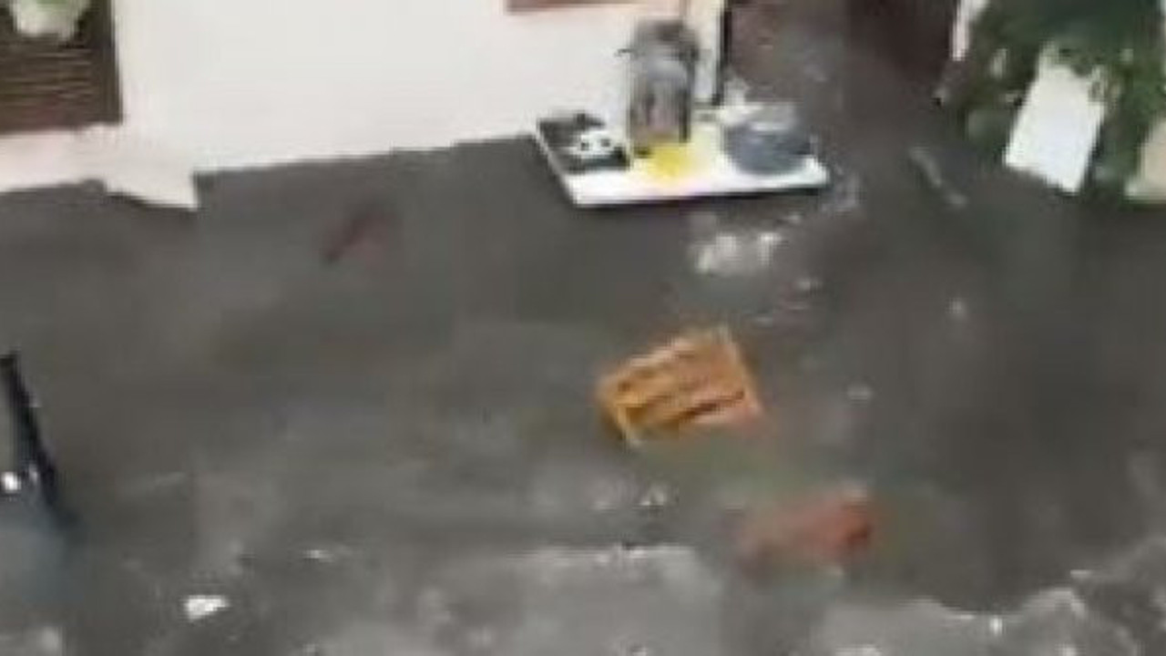 Tsunaminin en acıklı hikayesi Sığacık’ta yaşandı. Depremden kaçmak için sokağa çıktı tekerlekli sandalye ile akıntıya kapıldı