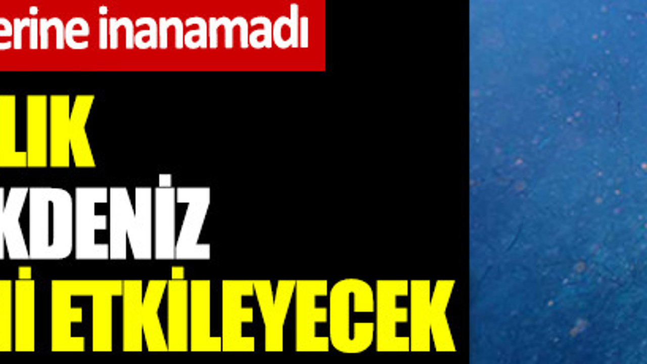 Kuzey Kıbrıs’ta bulundu, araştırma ekibi gözlerine inanamadı. Antik Mısır hiyeroglifleri bulunan 3 bin yıllık çapa, çözülmesi Akdeniz arkeolojisini etkileyecek