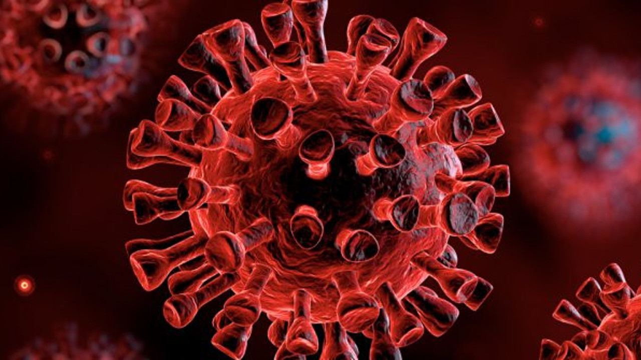 Koronada can kaybı 1 milyon 200 bini aştı