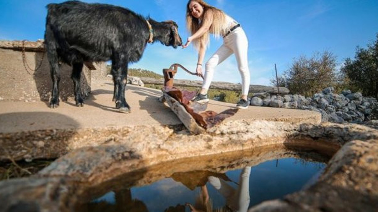 On binlerce kişi akın ediyor. Tam 800 yıllık geçmişe sahip. Gidenler geri dönmek istemedi