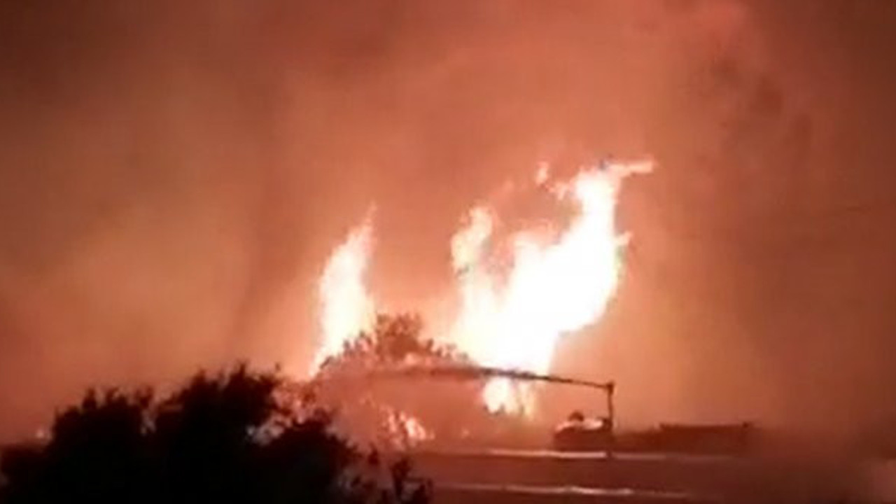 Otluk alanda çıkan yangın rüzgarın etkisiyle evlere sıçradı