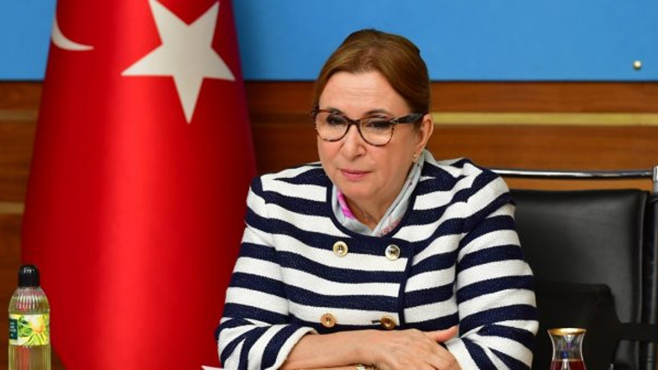 Pekcan: 2020'de ihracatçımıza 1 milyar 779 milyon lira destek sağladık