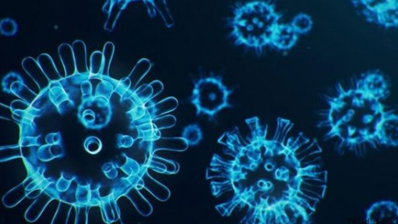 Koronayı öldürüyor diye kullanıyorduk. Dezenfektan virüsün gizli ortağı çıktı