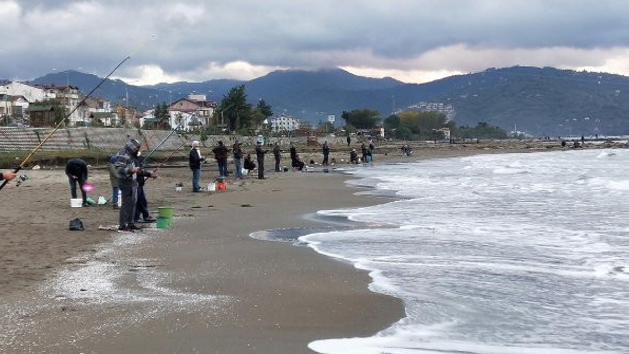 Bu balıkları tutmak ve yemek caiz mi? Diyanet açıklasın