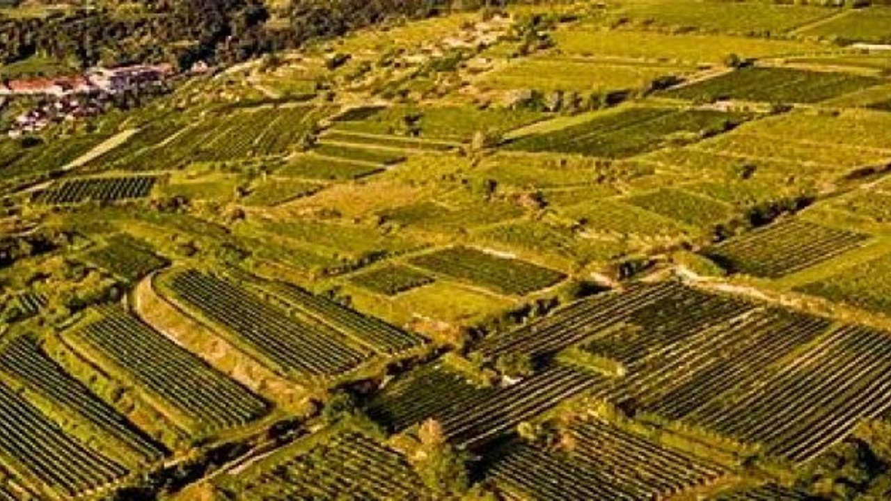 Tarlayı kazan arkeologlar yan yana bulunca şok oldular. Yanında buldukları da hazine değerindeydi