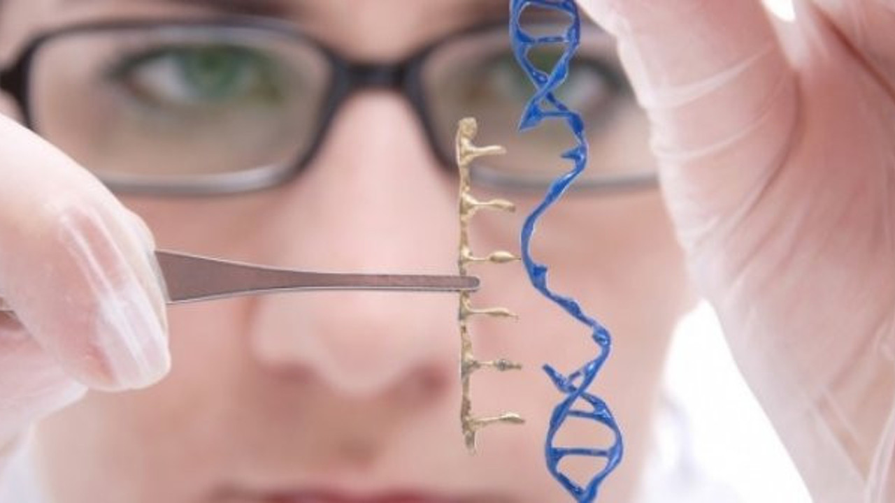 Biyobilişim uzmanları keşfetti. Korona virüste bugüne kadar gözden kaçırıldı