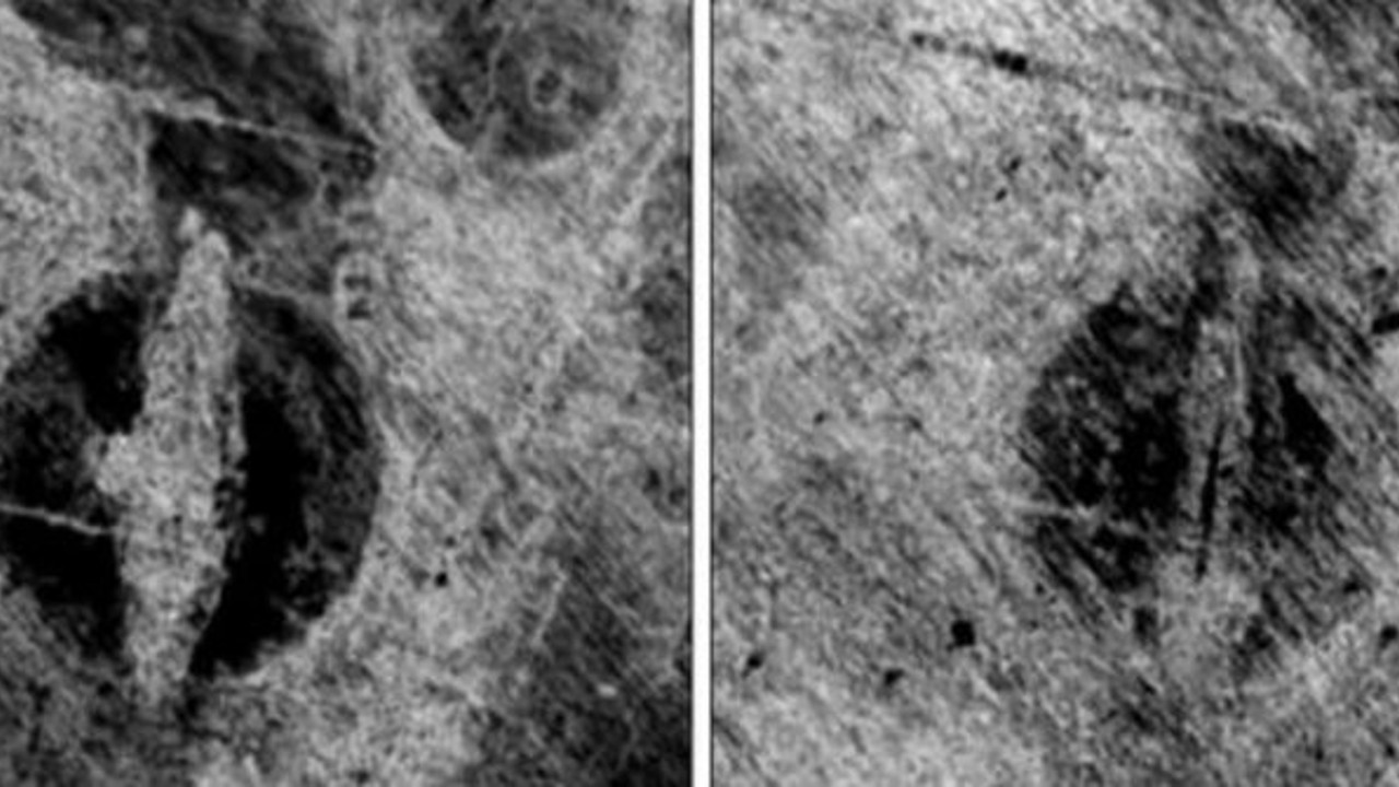 Define avcıları kafasını taşları vuruyor. Norveçli bilim adamları buldu. Radarlı taramada ortaya çıkartıldı