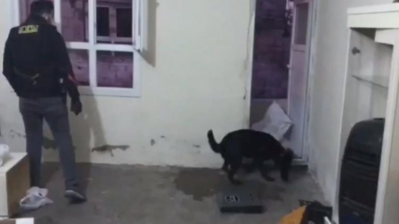 Şanlıurfa'da torbacı avı