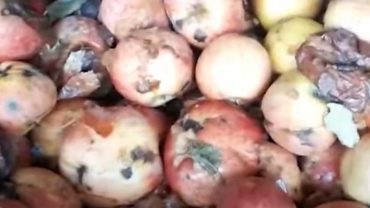 Kayseri’deki skandal meyve suyu iddiasında flaş gelişme. Tarım ve Orman Bakanlığı açıkladı