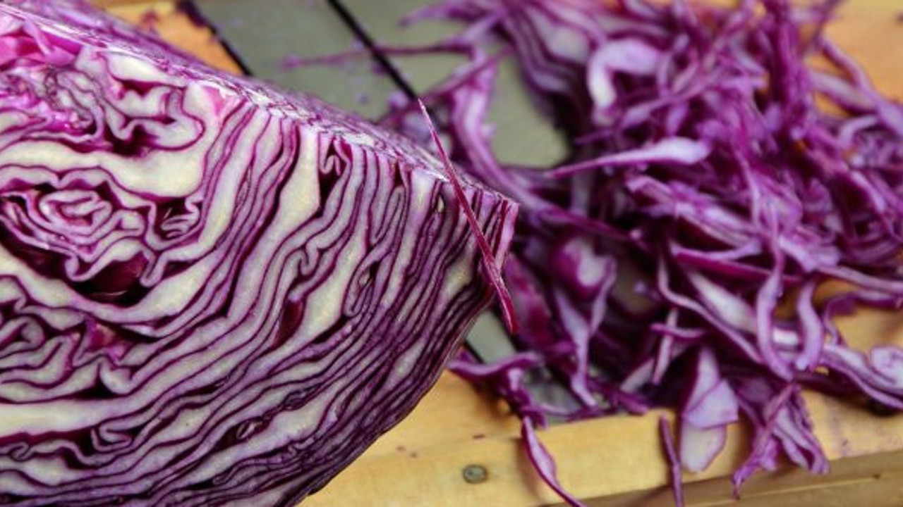 Bilimsel olarak kanıtlandı! Resmen akciğerlere kalkan oluyorlar…