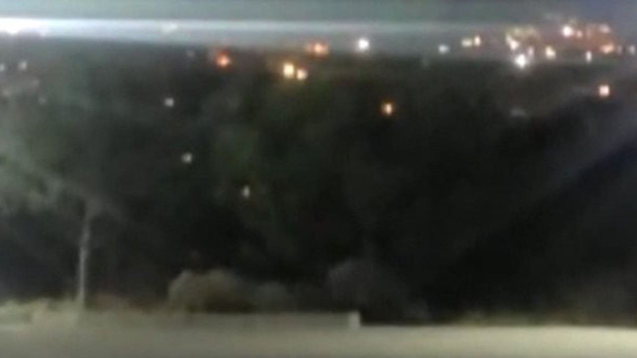 Yaban domuzları üniversiteyi böyle bastı