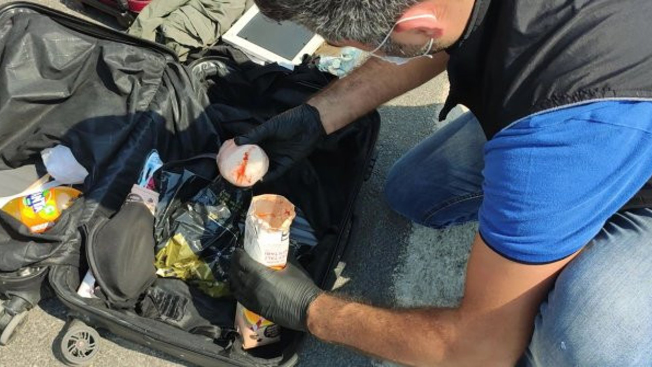 Mersin'de valizden çıkanlar şok etti. 7 parçaya bölünmüş halde bulundu