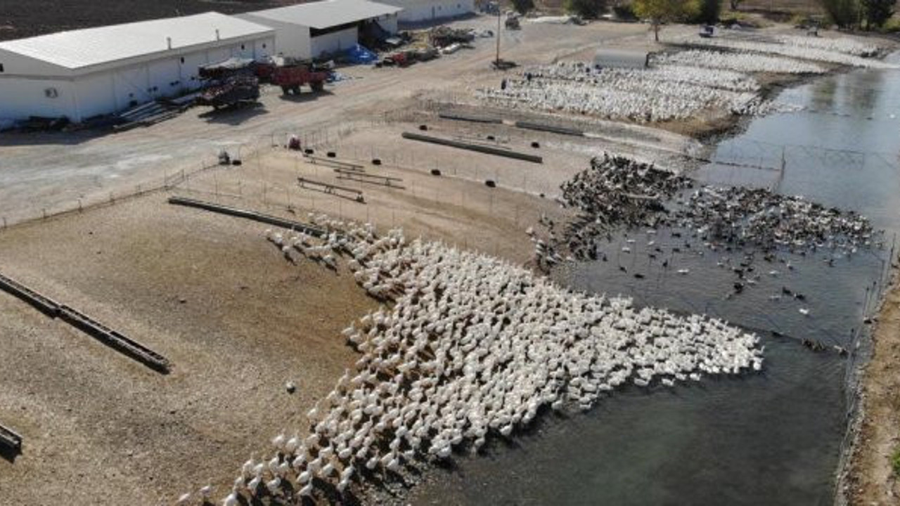 Hobi olarak başladı şimdi paraya para demiyor. Türkiye'nin dört bir yanından sipariş yağıyor