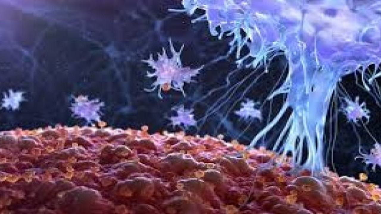 En sık ve en büyük belirtisi öksürük. Dünyada her saat 20 kişinin ölümüne neden oluyor